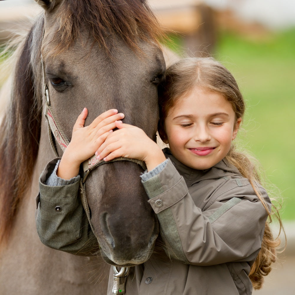 bleeder medication horses bleeder horse bleeders in horses bleeders horses treatment lasix for bleeders horse Lasix furosemide horse nose bleeding horse nose bleed horse nose blood horse bleeding from nose Arnica Montana alternative Arnica Montana side ef