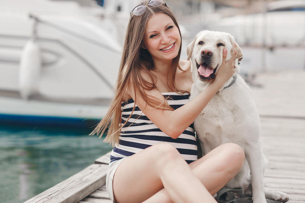 Can A Dog Get Pregnant While Bleeding can-a-dog-get-pregnant-while-bleeding