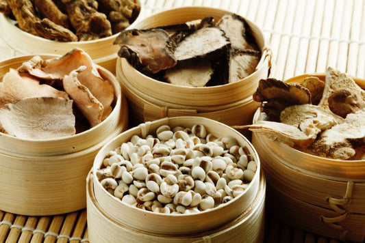 Traditional Chinese Medicine