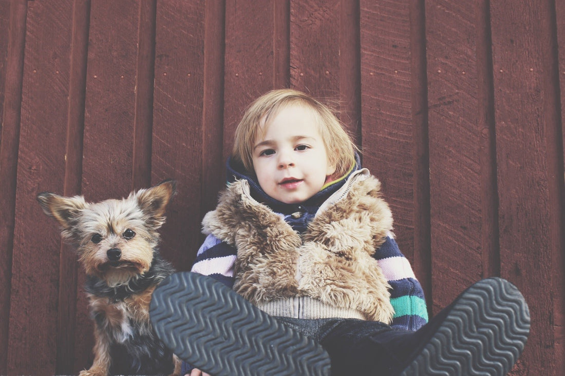 How A Family Dog Can Boost Your Children’s Health