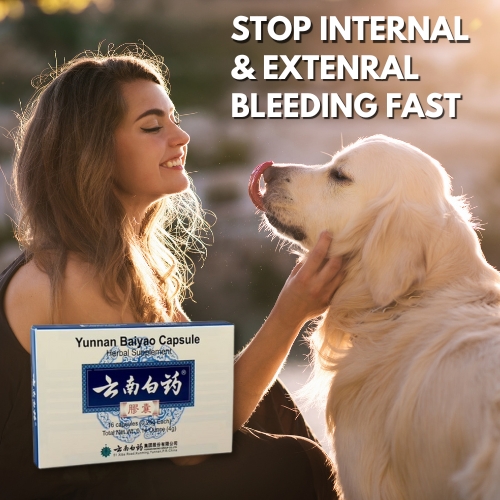 yunnan baiyao capsules for dogs